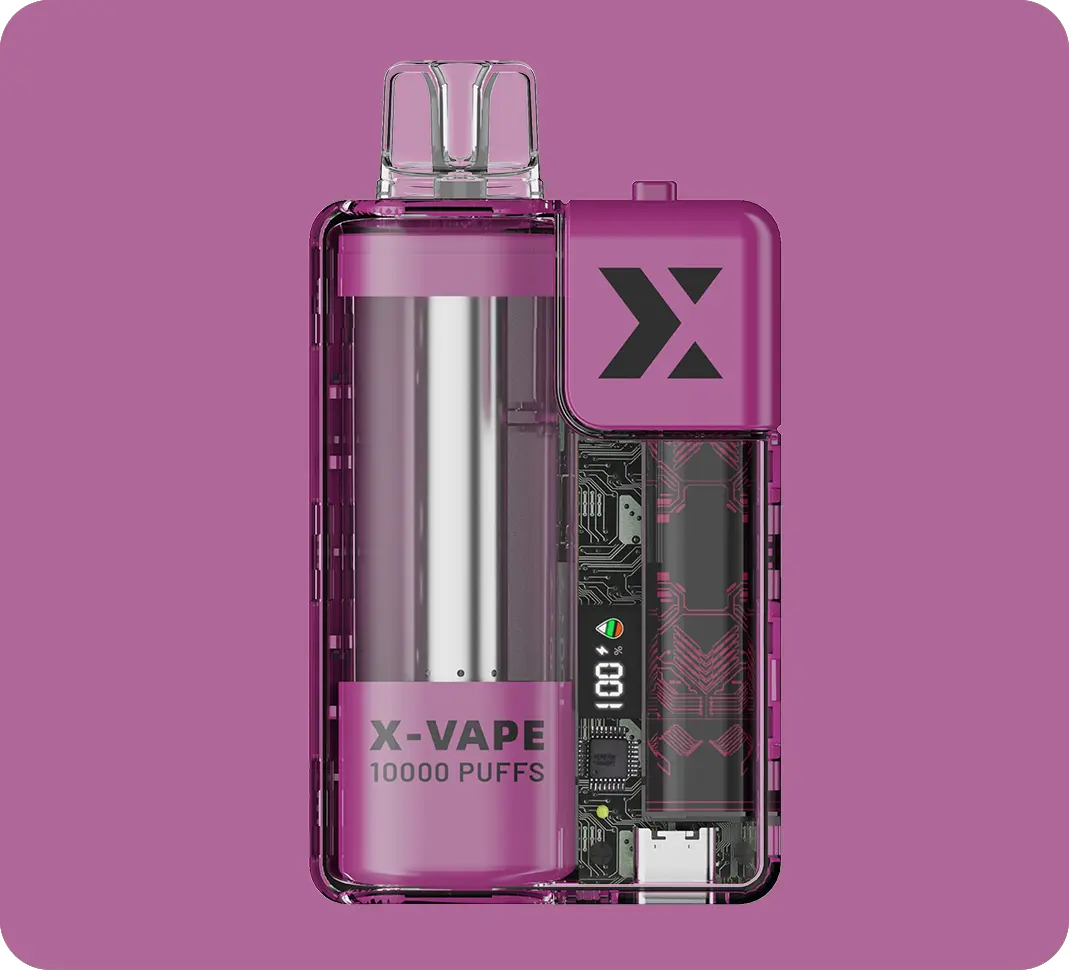 X-3 Purple Echo (Disposable, 10pc)